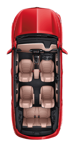 allFeatures view