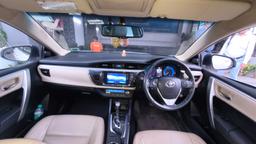 allFeatures view